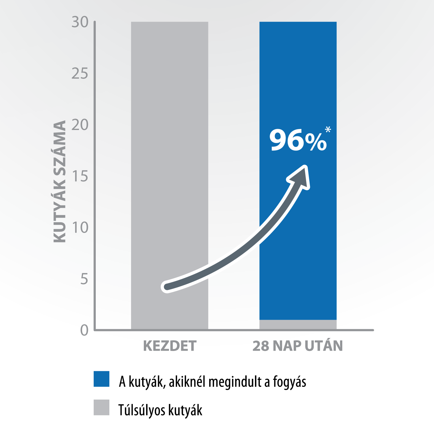 A kutyák 96%-ánál megindul a fogyás