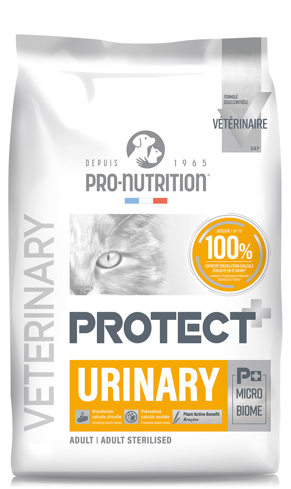 Cat URINARY