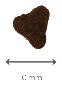 10 mm